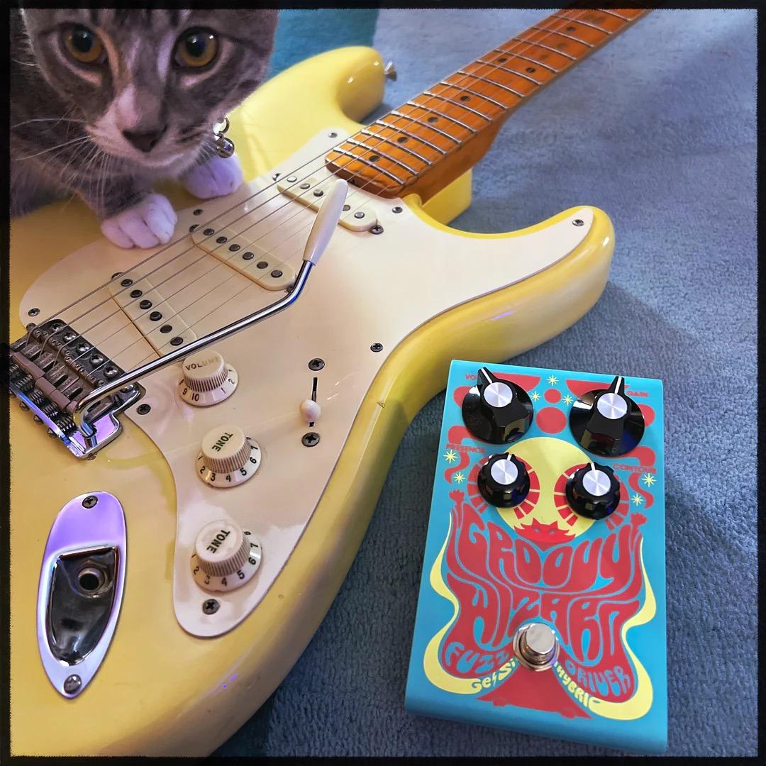 kittycasterFX Groovy Wizard Fuzz Driver | Axe And You