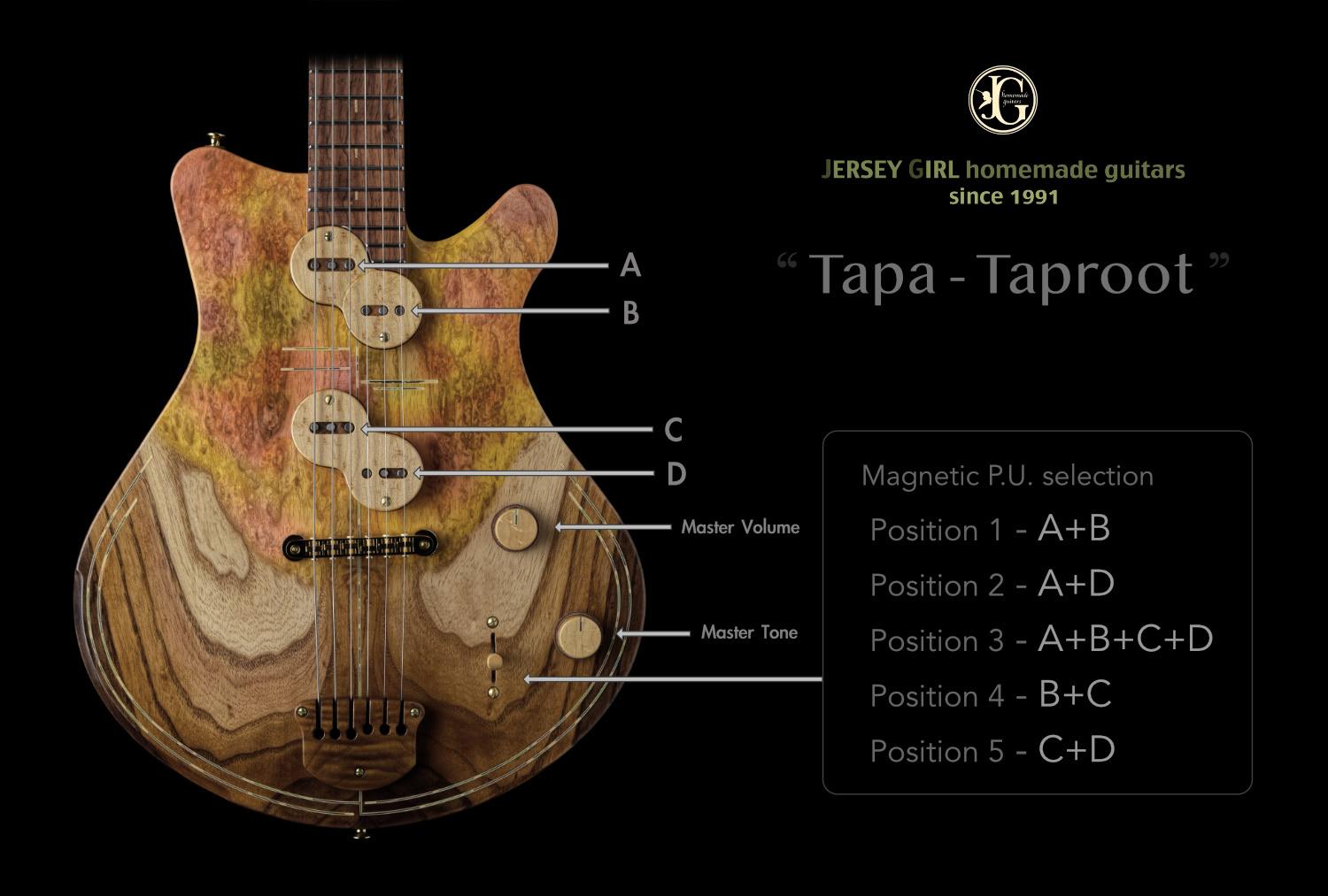 Jersey Girl Homemade Guitars Tapa - TapRoot | Axe And You Shall Receive