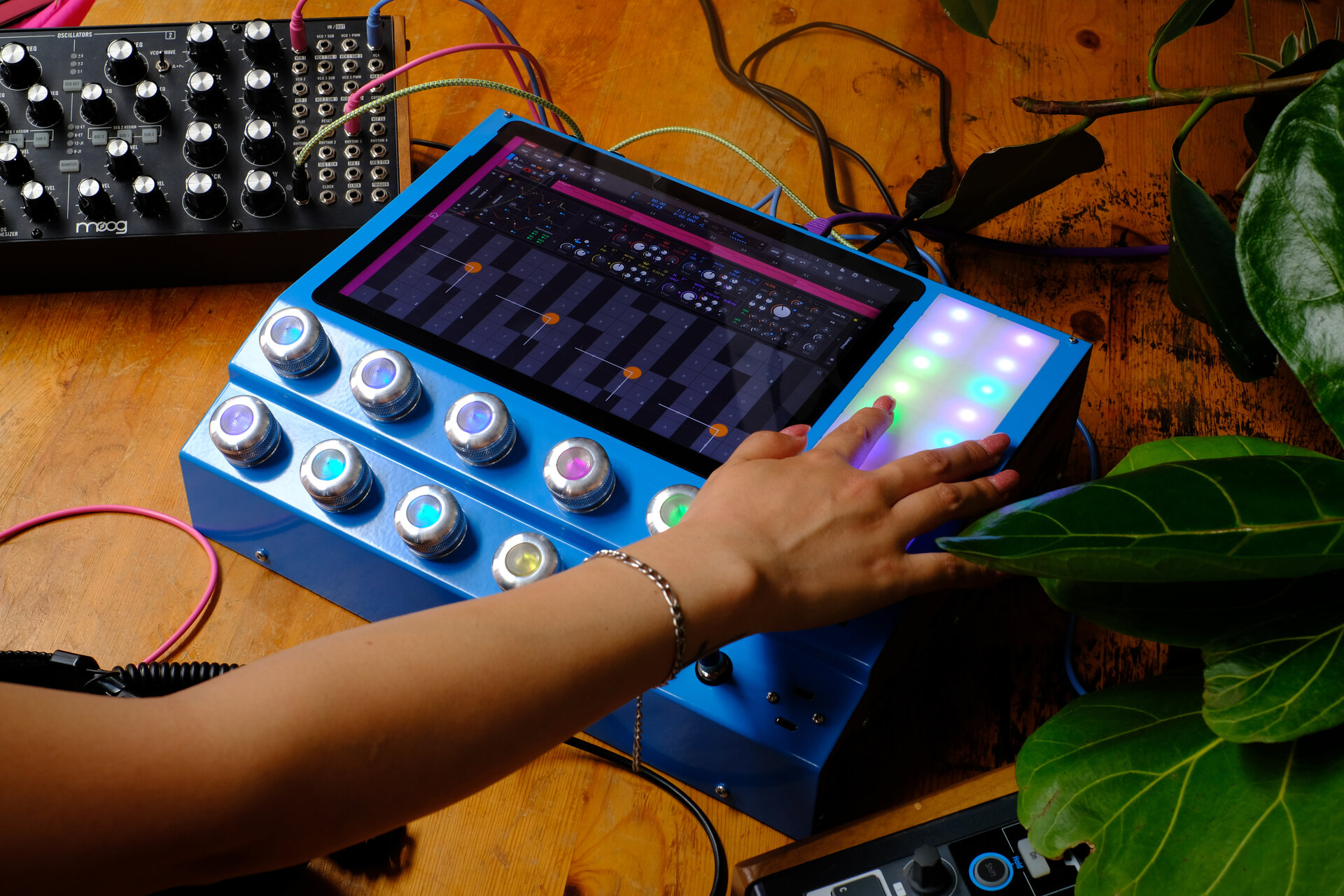 Poly Hugo (pre-order)