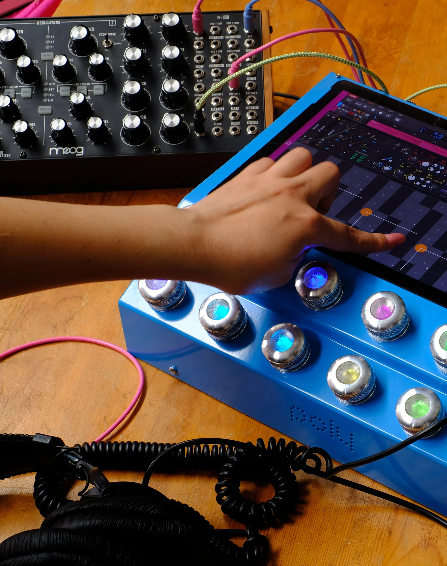 Poly Hugo (pre-order)