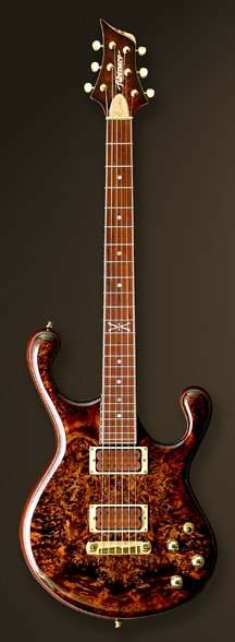 Fibenare Custom Order Guitars