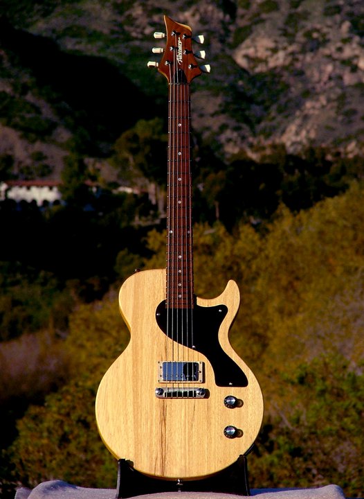 Fibenare Custom Order Guitars