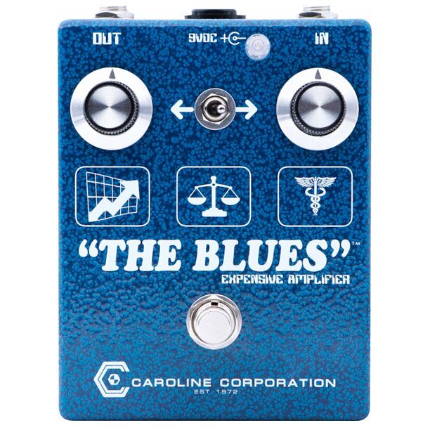 Caroline Guitar Company "The Blues" Expensive Amplifier
