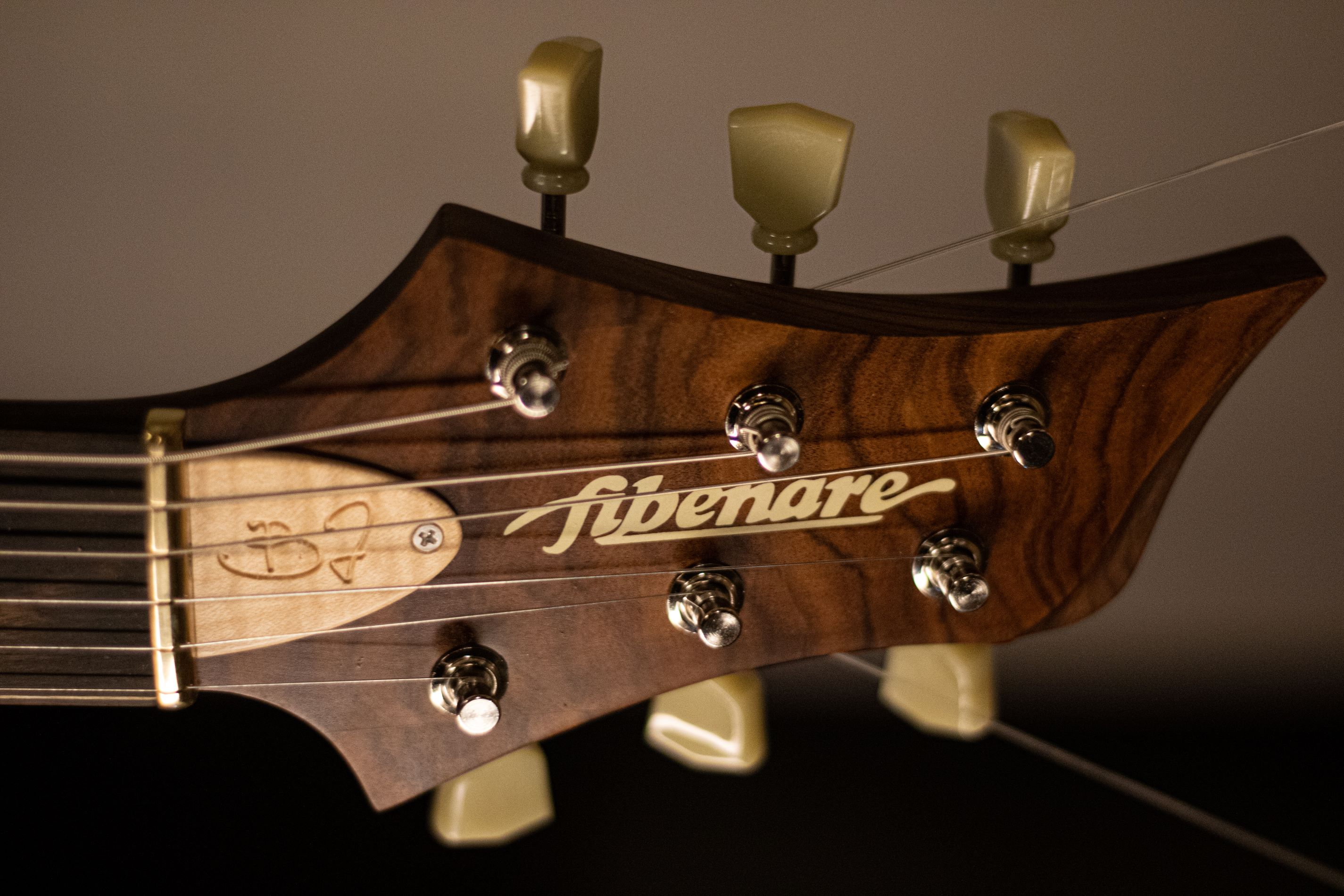 Fibenare Basic Jazz Hollowbody
