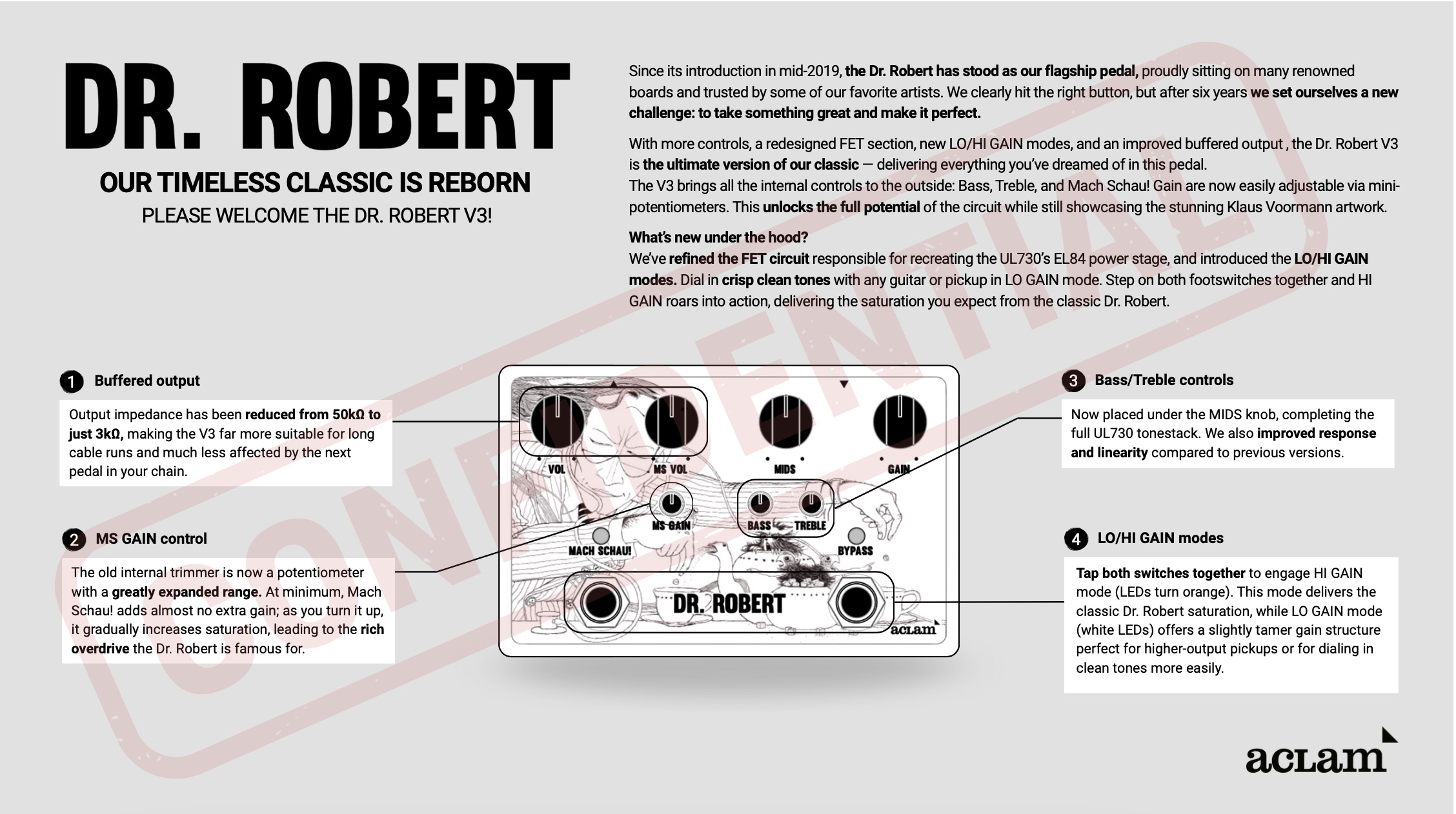 ACLAM Guitars Dr. Robert V3