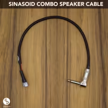 COMBO AMP SPEAKER CABLE 1FT