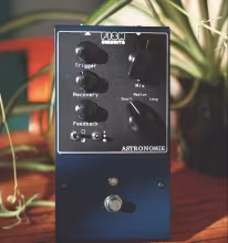 Fish Circuits ASTRONOMIE Reverb