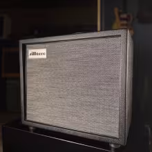 Silktone Echonaut Combo Amplifier
